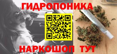 гашик Бугуруслан