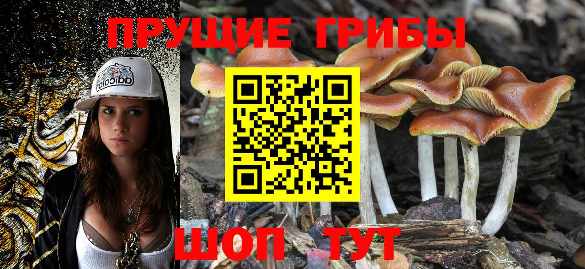 Галлюциногенные грибы GOLDEN TEACHER  Вход с VPN  Камышлов 